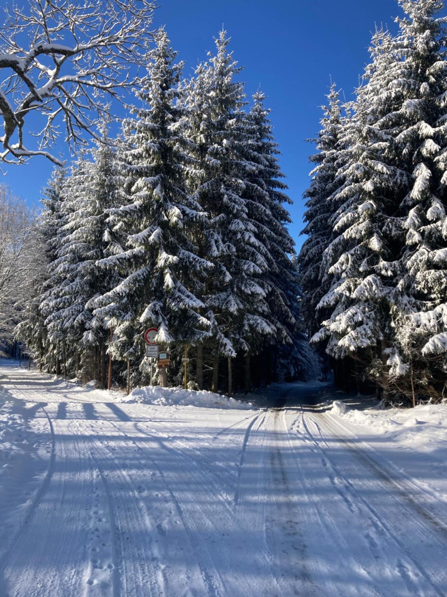 Penzion Na Habesi Kasperske Hory Buitenkant foto