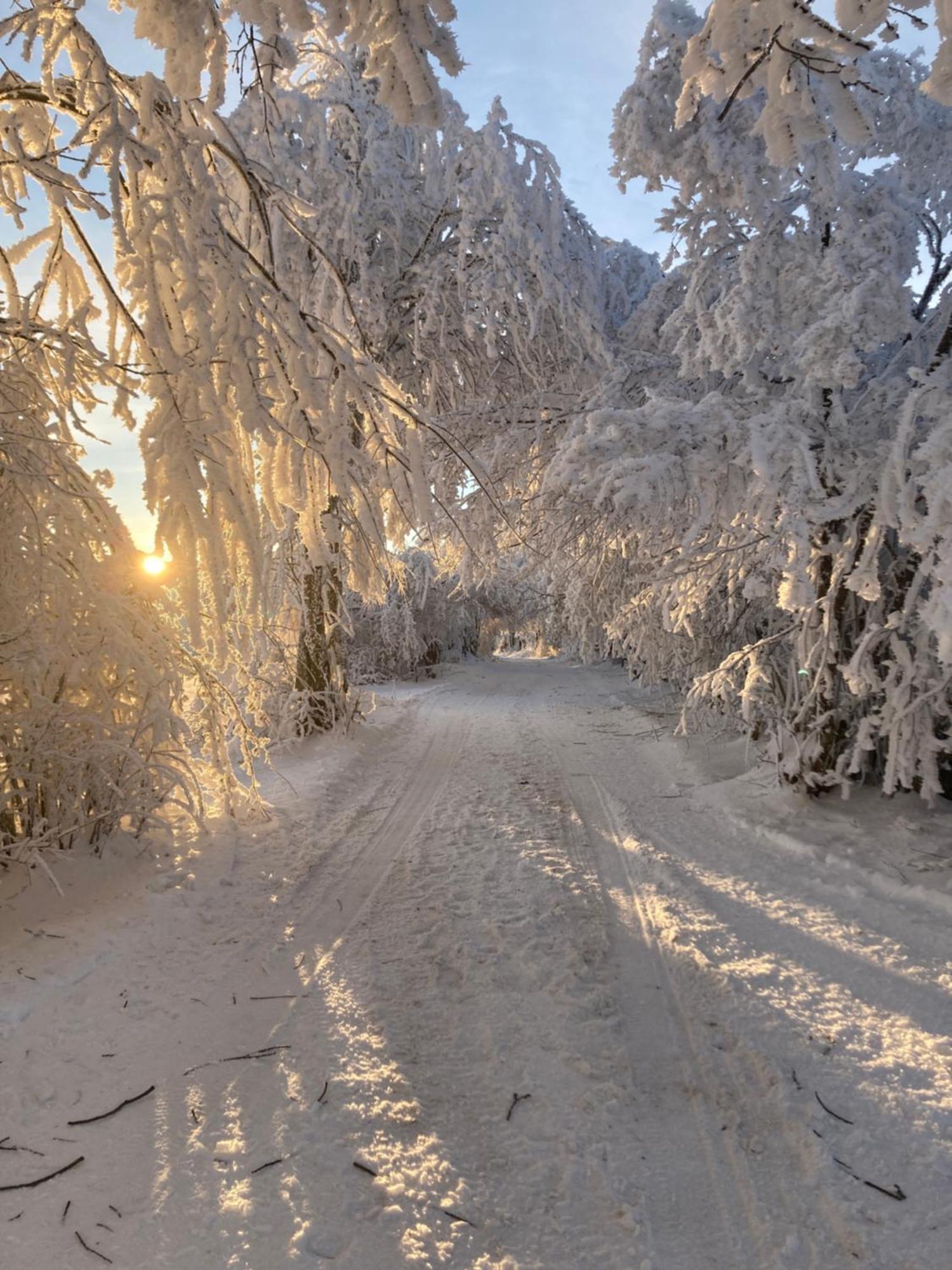 Penzion Na Habesi Kasperske Hory Buitenkant foto