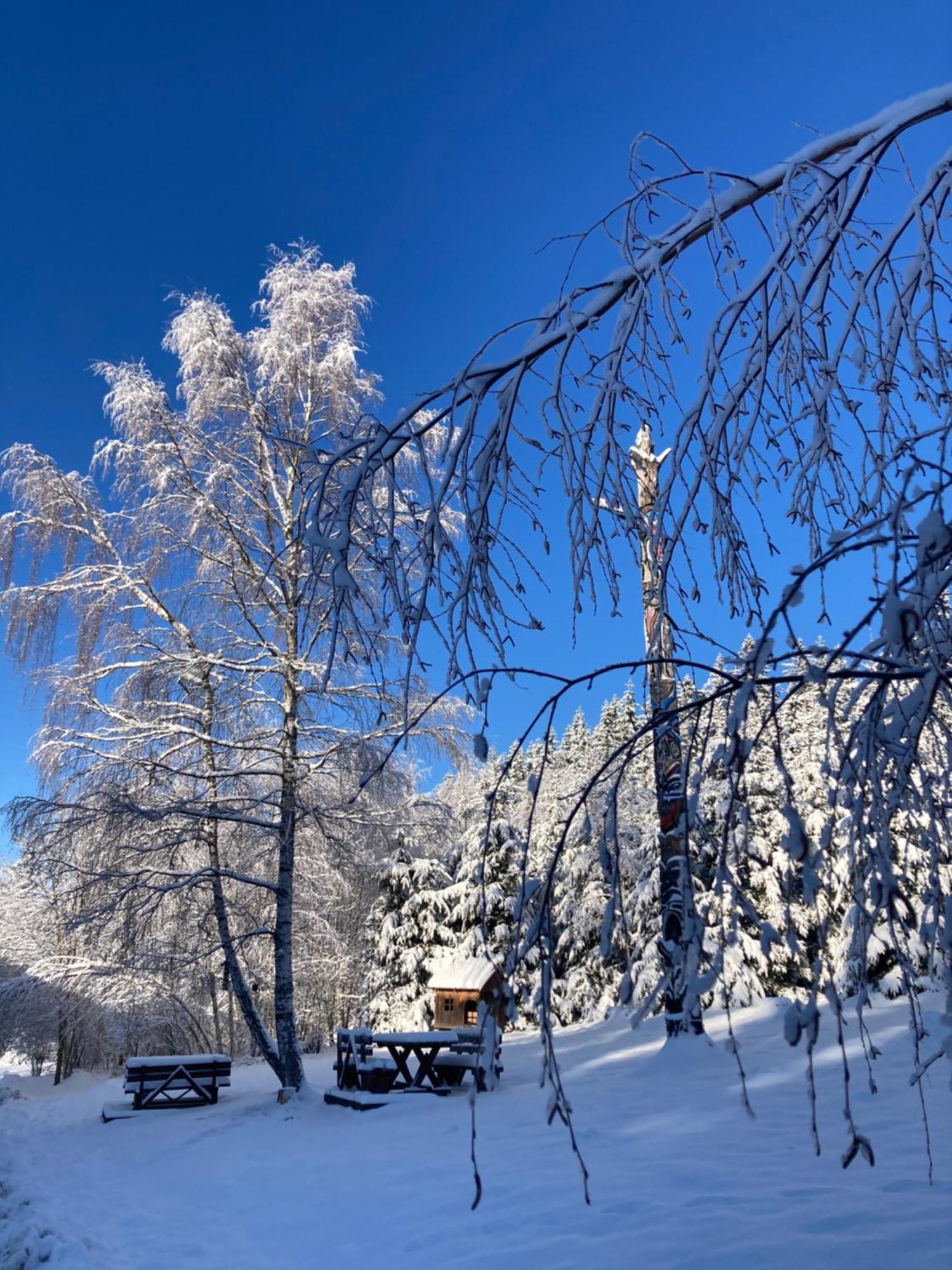 Penzion Na Habesi Kasperske Hory Buitenkant foto
